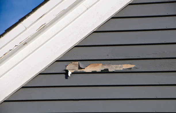 Best Wood Siding Installation  in Hartland, WI